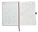 Clearance Sale - Action Day Academic Planner - JUL 2018 - JUN 2019 - #1 Time Management Planner & You Get Things Done - All Your Thoughts,Goals & Actions in One Place (7x9,Thread-Bound,Red)