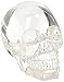 Clear Translucent Skull Collectible Figurine