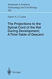 The Projections to the Spinal Cord of the Rat During Development : A Time-Table of Descent, Lakke, E. A., 3540618783