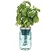Modern Sprout Garden Jar, Basil