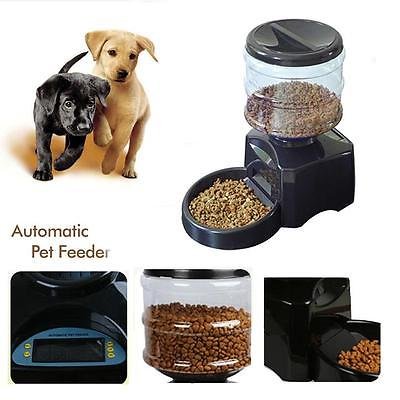 PEDY Distributeur de Nourriture Alimentation pour Chien Croquettes Automatique 5.5 LITRES Pour Pet Chien Chat