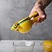 Premium Quality Top Rated Metal Lemon Lime Squeezer Manual Citrus Press Juicer Lemon Squeezer