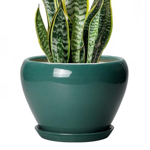 Ceramicfor Plant Pot