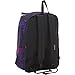 JanSport High Stakes Backpack- Discontinued Colors (Multi Tulips)