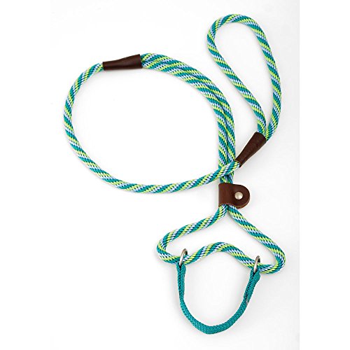 Mendota Products, Inc. Dog Walker 3/8 Inch x 6 Ft Seafoam