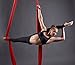 Aerial Silks Equipment for Acrobatic Flying Dance, Includes All Hardware, Fabric and Guide (Dark Purple)