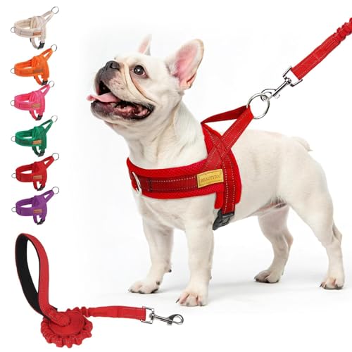 BEAUTYZOO No Pull Dog Harness and Leash Set M
