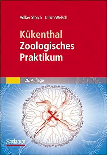 Amazon Com Kukenthal Zoologisches Praktikum German Edition 9783827419989 Storch Volker Welsch Ulrich Books Amazon Com Kukenthal Zoologisches Praktikum German Edition 9783827419989 Storch Volker Welsch Ulrich Books