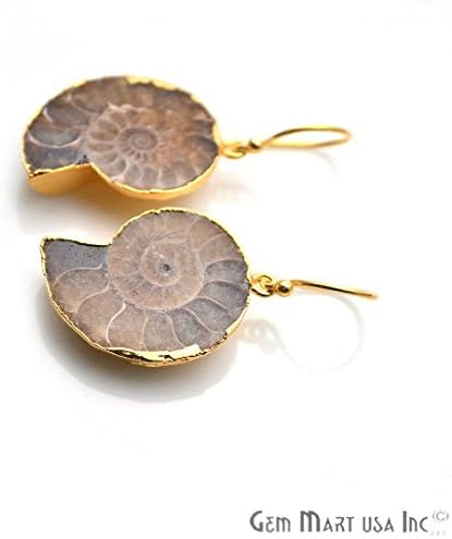 GemMartUSA Ammonite Dangle Earring, Hook Earrings,Gemstone Earrings, Dangle Earring (ANER-90018)