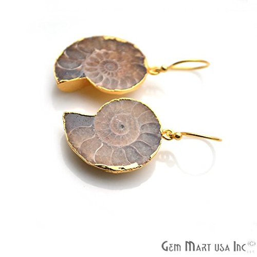 GemMartUSA Ammonite Dangle Earring, Hook Earrings,Gemstone Earrings, Dangle Earring (ANER-90018)