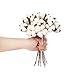 VGIA 20Pack Really Natural White Cotton Stems Dried Flower Branch for Farmhouse Decor Farmhouse Display Filler-Foral Decoration(2,10Pcs)