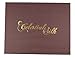 Celestial Silk 100% Silk Pillowcase for Hair Luxury 25 Momme Mulberry Silk, Charmeuse Silk on Both Sides Envelope Closure - Gift Wrapped (Queen, White)