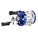 Isafish Baitcasting Reels Conventional Inshore and Offshore Saltwater and Freshwater Fishing Reels Baitcaster Blue Color