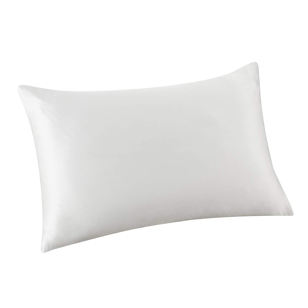 ALASKA BEAR Natural Silk Pillowcase for Hair and Skin 19 Momme 600 Thread Count 100 Percent Hypoallergenic Mulberry Silk Pillow Slip Queen Size with Hidden Zipper(1, Arctic White)