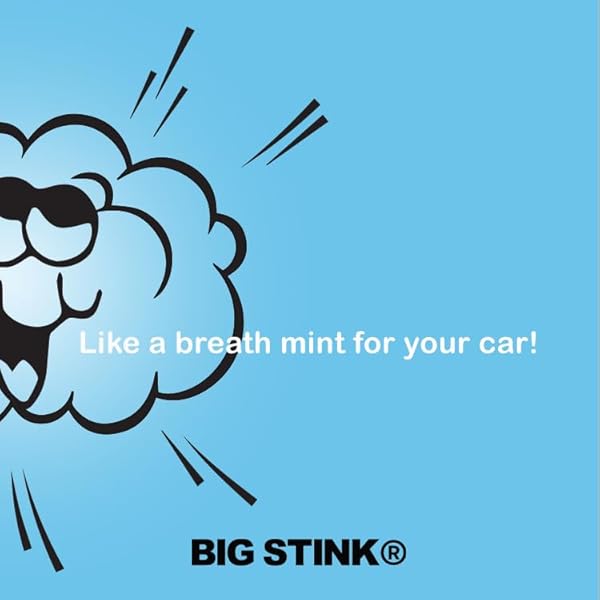 BIG STINK ODOR-FIGHTING, CAR AIR FRESHENER VENT CLIP LONG LASTING, LAUNDRY DAY SCENT, 1 COUNT