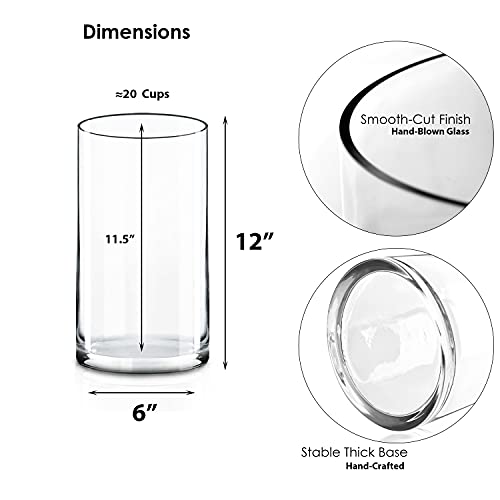 CYS EXCEL Cylinder Clear Glass Vase (H12" D6") Multiple Size