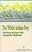 The White Indian Boy:: The Story of Uncle Nick Among the Shoshones by