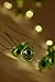 Brooklyn Lighting Company 12 Foot LED Wire Lights Strip with 36 Avocado Shaped Bulbs Battery Operated String Lights (12FT, Avocado)