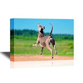 Funny Flying Animals Canvas Wall Art - A Dog is Ready to Fly - Gallery Wrap Nursery Wall Decoration/Kids