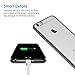 JETech Case for iPhone 6 Plus and iPhone 6s Plus 5.5-Inch, Non-Yellowing Shockproof Phone Bumper Cover, Anti-Scratch Clear Back (Gray)