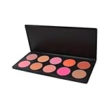 10 Color Makeup Cosmetic Blush Blusher