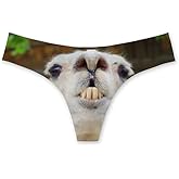 Dellukee Women's Breathable Hipster Underwear Brief Leopard Print Cool Strech Comfortable Bikini Panty