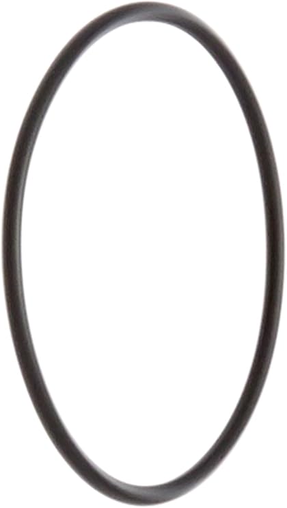 Amazon Com Pentair 192323 O Ring Replacement Pool Spa D E Filter And Pump Outdoor Spas Garden Outdoor