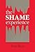 The Shame Experience