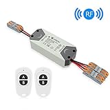 eMylo Smart Relay Switch Wireless RF DC 12V Two 2-Channel Remote Control Switch 5V-24V RF Relay Switch Home Automation 433Mhz with Two Transmitters 1 pack