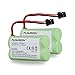 Floureon 2-Pack Premium High Capacity 1800mAh Equivalent BT-1007 , Bt1007 BT-904 , BT904 , BBTY0707001 Replacement Battery