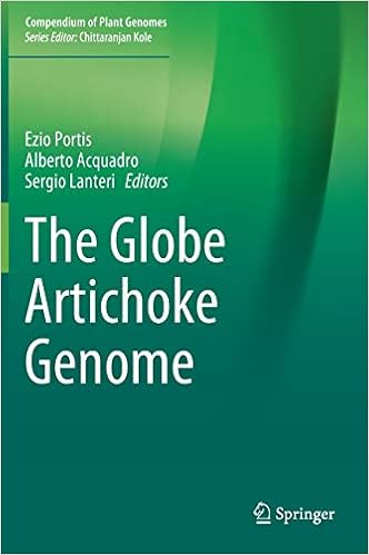Book's Cover of The Globe Artichoke Genome (Compendium of Plant Genomes) (Inglés) Tapa dura – 25 junio 2019
