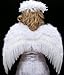 FashionWings (TM Teens Adults Classic White Costume Feather Angel Wings & Halo