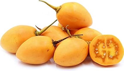 Amazon Co Jp 10個の種子トマトの木 Cyphomandra Betacea イエロー タマリロ種子 ホーム キッチン