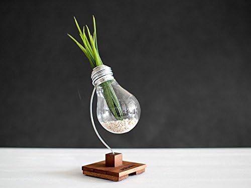 "Beta" upcycled lightbulb vase by Paladim Handmade