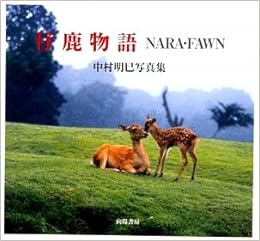 Download Kojika Monogatari Nara Fawn Nakamura Akemi Shashinshui For iPhone Free Wallpaper Kojika Monogatari Nara Fawn Nakamura Akemi Shashinshui Free