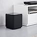 Bose Acoustimass 300 Wireless Bass Module, Black