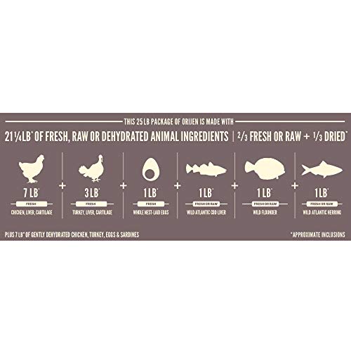 ORIJEN Fit & Trim Dog Food - Image 3