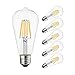 LVWIT ST21 LED Filament Bulb 7W(60 Watt Equivalent) Dimmable 2700K Warm White Vintage Edison Light Bulb E26 Medium Base (6-Pack)