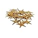 Fun Express Real Star Fish (Approx 30 Pieces) Starfish