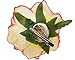 Beautiful Rose Flower Hair Clip Pin up Flower Brooch For Party Travel Festivals (Pink)