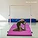 Safly Zone Gymnastics Junior Training Bar for Kids| Expandable Gym Jr Horizontal Kip Bar for Gymnast Beginner Home Training Pink/Blue