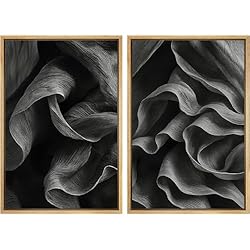 MUDECOR Framed Canvas Print Wall Art Set Black and