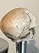 Small Skull Beer Tap Handle for Kegerators and Bars Dead Skeleton Walking