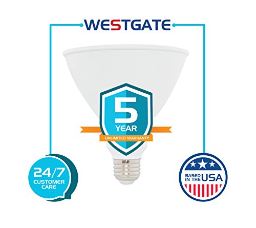 SLI Lighting PAR38 LED Flood Light - Dimmable PAR38 LED Bulbs - 15W - 90W Equivalency - 25,000Hr Lifetime - Energy Star Rated -3000K - 2 Pack