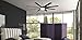 Home Decorators Collection 60 in. Zolman Pike LED DC Brushed Nickel Ceiling Fan with Remote