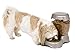 Petmate Pet Cafe Feeder Dog and Cat Feeder Pearlescent Colors 3 Sizesthumb 1