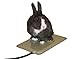K&H Pet Products Small Animal Outdoor Heated Pad 25W Tan Petite 9 X 12 Inches primary