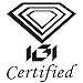 Amanda Rose Collection IGI Certified 1/4ct TW Round Natural Diamond Stud Earrings for Women in 14K White Gold