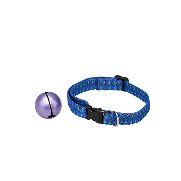 MJBABY Collare per Cani. Animali Domestici Oltre all'anello, Gatti Oltre ai collari antipulci, con Campane, zanzare a… MJBABY MJBABY Collare per Cani. Animali Domestici Oltre all'anello, Gatti Oltre ai collari antipulci, con Campane, zanzare a…