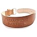 Champion Barbell 4-Inch Tapered Belt (Small)